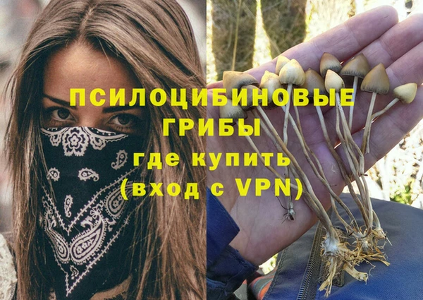 мдма Богородицк