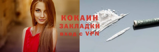 шишки Беломорск