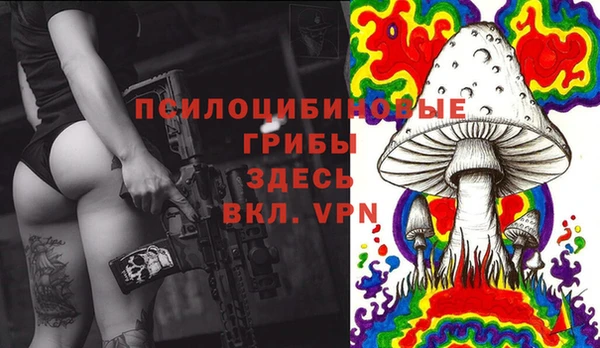 шишки Беломорск