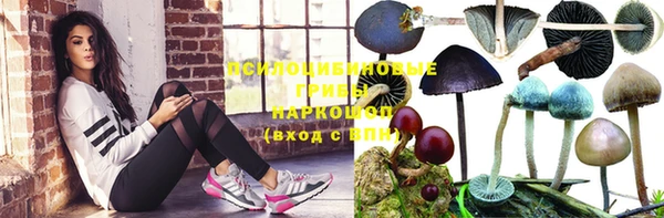 метамфетамин Богданович