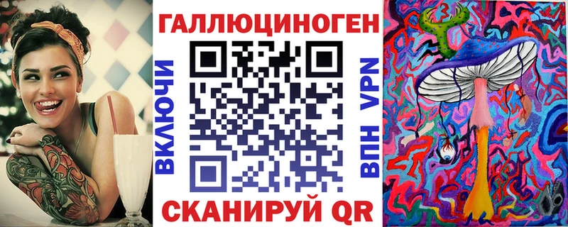 блэк спрут Полесск Псилоцибиновые грибы мицелий