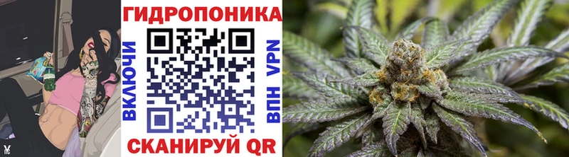 Бошки марихуана SATIVA & INDICA Полесск